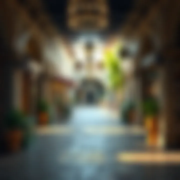 An inviting pathway leading through the old market, reflecting its historical ambiance.