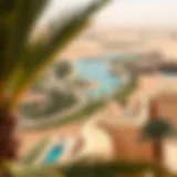 Aerial view of Liwa Oasis showcasing its lush palm groves amidst the desert landscape