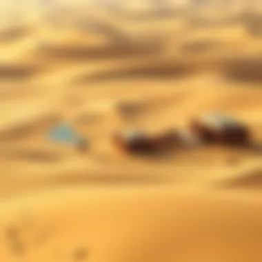 Geographical Context of Liwa Oasis Golden sands of the UAE desert surrounding Liwa Oasis highlighting its geographical context