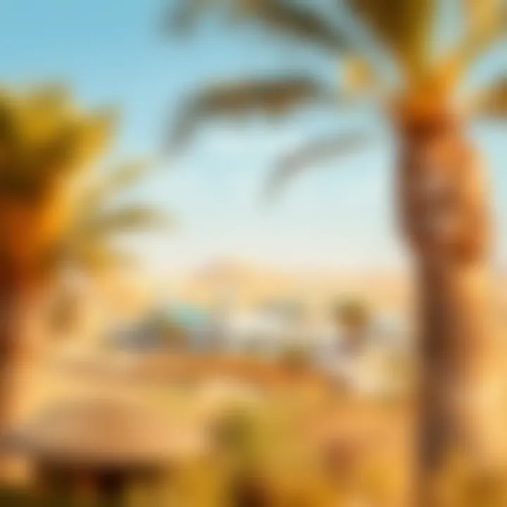 Economic Developments in Liwa Oasis Infographic illustrating the economic developments and investment opportunities in Liwa Oasis