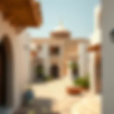 Cultural Heritage of Liwa Oasis Traditional architecture in Liwa reflecting the cultural heritage of the region