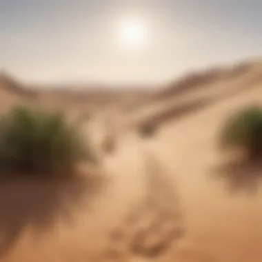 Breathtaking Desert Views Stunning desert landscape near Dubai