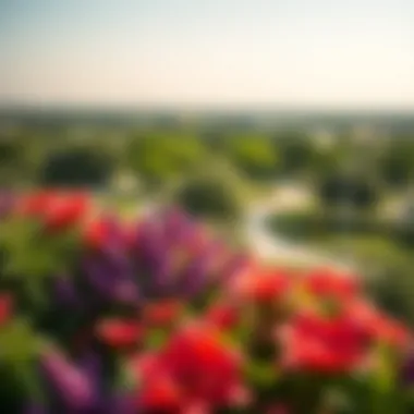 Lush Green Landscape of Umm Al-Emarat Park A lush green landscape of Umm Al-Emarat Park showcasing its vibrant flora.