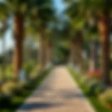 Serene Walking Path in Umm Al-Emarat Park A serene walking path in Umm Al-Emarat Park inviting visitors to explore.