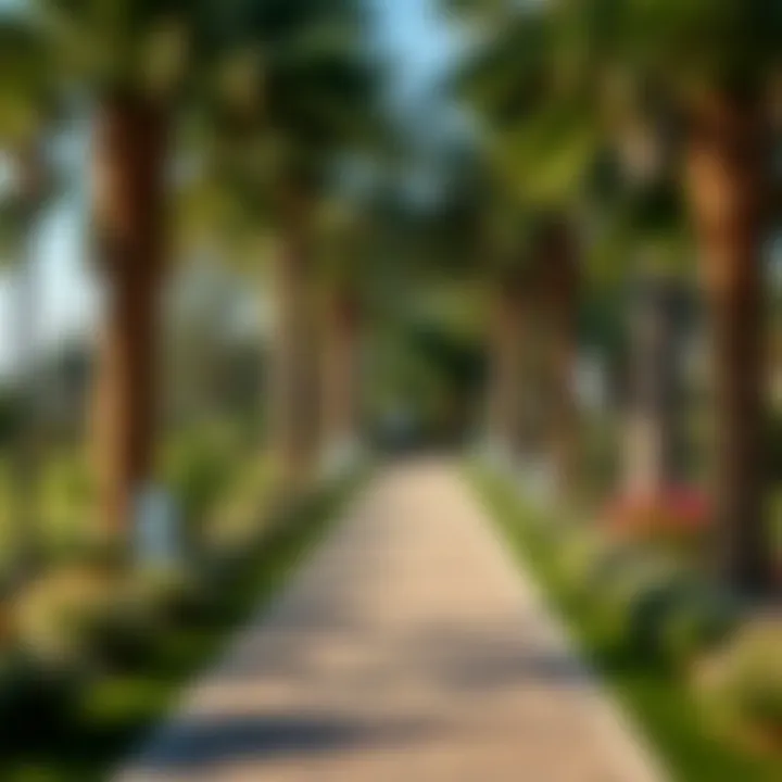 Serene Walking Path in Umm Al-Emarat Park A serene walking path in Umm Al-Emarat Park inviting visitors to explore.