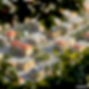 Community setting around the Forte Floor Plan emphasizing urban living.