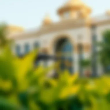 Notable Guidance on Securing Fresh Dates in Dubai Notable Guidance on Securing Fresh Dates in Dubai