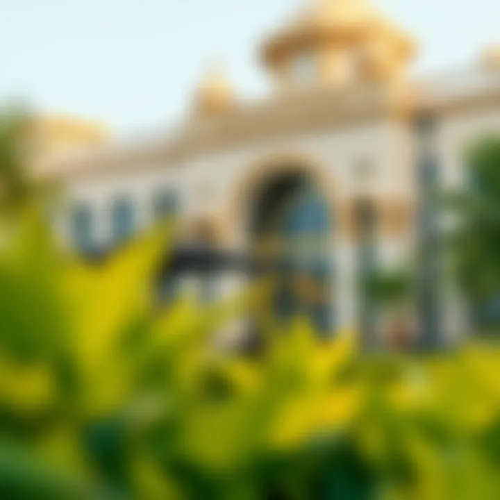 Notable Guidance on Securing Fresh Dates in Dubai Notable Guidance on Securing Fresh Dates in Dubai