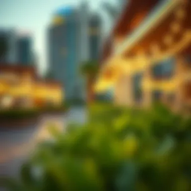 Guidance on Securing Fresh Dates in Dubai Summary Guidance on Securing Fresh Dates in Dubai Summary