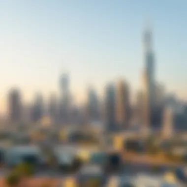 Dubai Skyline and Modern Developments Dubai skyline showcasing modern real estate developments