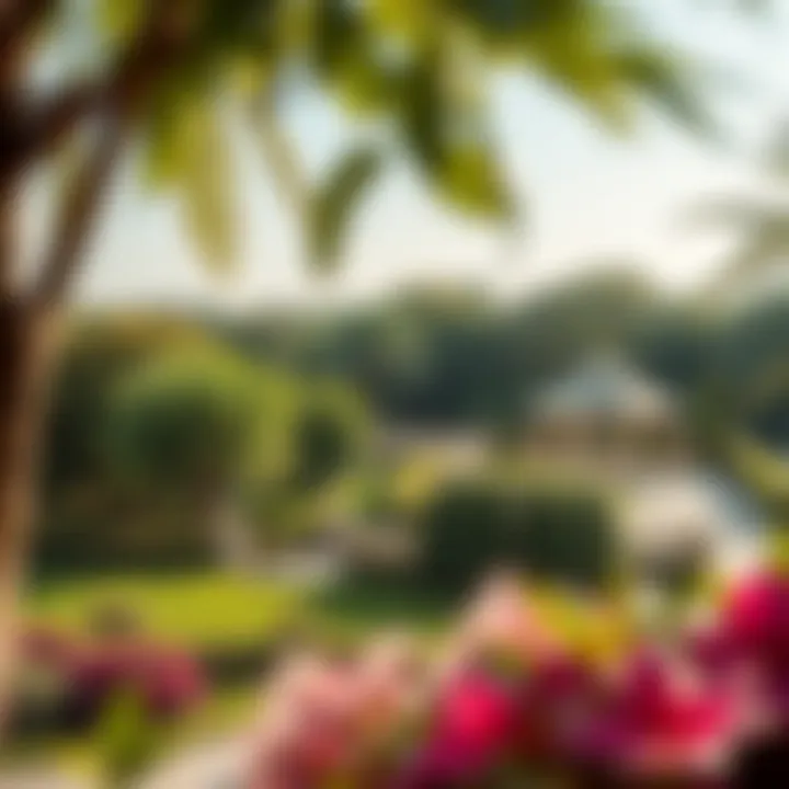 Lush Landscaping of Maimoon Gardens Beautiful landscaping surrounding Maimoon Gardens