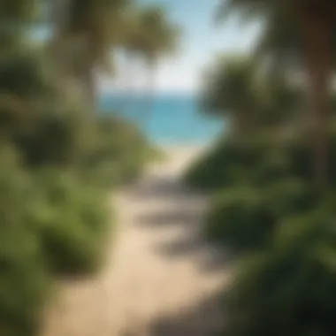 Lush Greenery and Beach at Mamzar Beach Park Scenic view of Mamzar Beach Park showcasing the lush greenery and beach