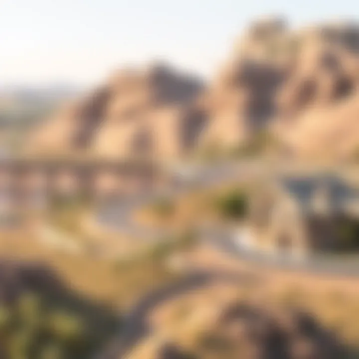 Landscape view of the surrounding areas of Nad Al Sheba Meraas