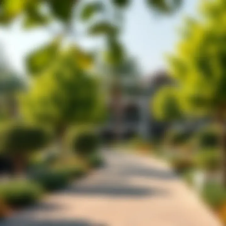 Beautiful landscaped parks in Emaar Greens promoting sustainable living