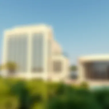 Illustration of potential remedies and solutions for visa issues