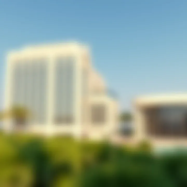 Illustration of potential remedies and solutions for visa issues