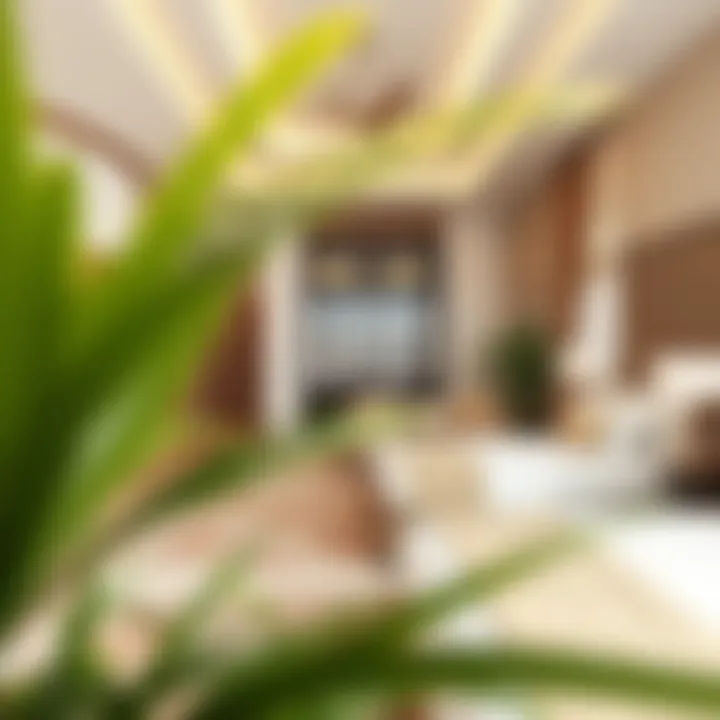 Notable Optimal Family-Friendly Hotel Apartments in Dubai