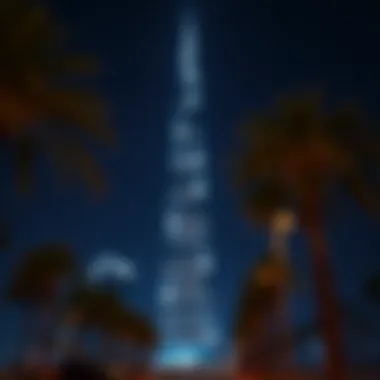 Illuminated Aesthetics of Palm Tower at Night Nighttime photograph of Palm Tower illuminated, highlighting its aesthetic allure