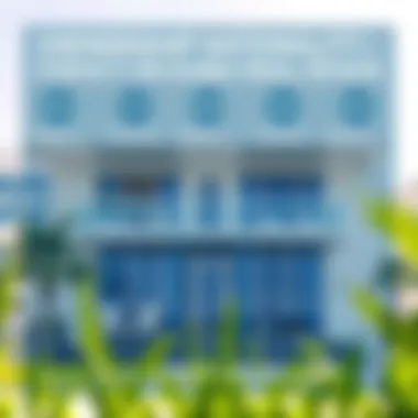 Infographic showing the impact of ownership nationality on Dubai's real estate market