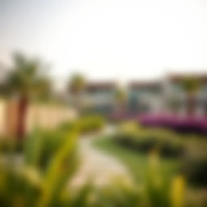 Sustainable Landscaping in Tilal Al Ghaf Sustainable landscaping within the Tilal Al Ghaf community