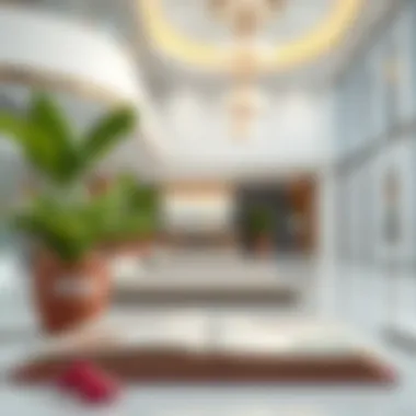 Common challenges in visa cancellation