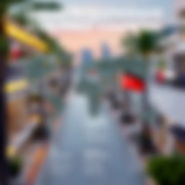 Graphic showcasing travel requirements for various visa-free countries