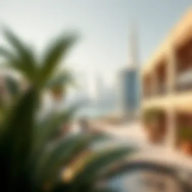 Visual representation of expatriate life in Dubai