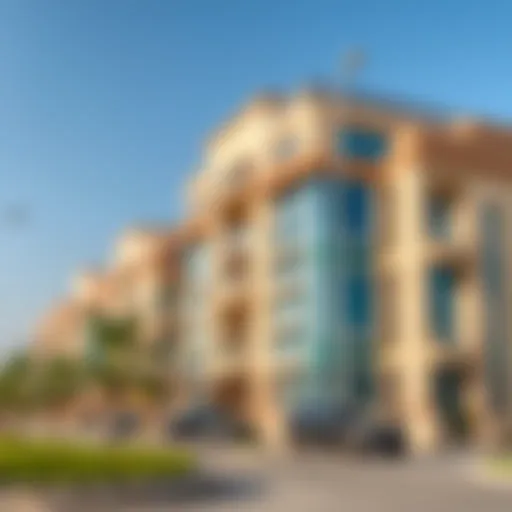 Understanding Real Estate Investment Companies in Dubai Introduction