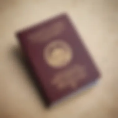 Types of Tourist Visas in the UAE Understanding tourist visa types in the UAE
