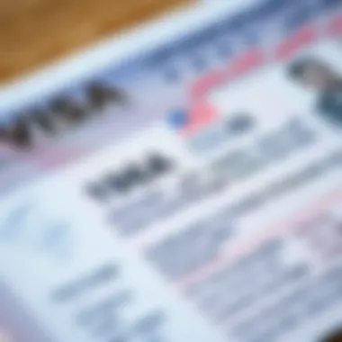 A close-up of a Dubai visa document highlighting important details