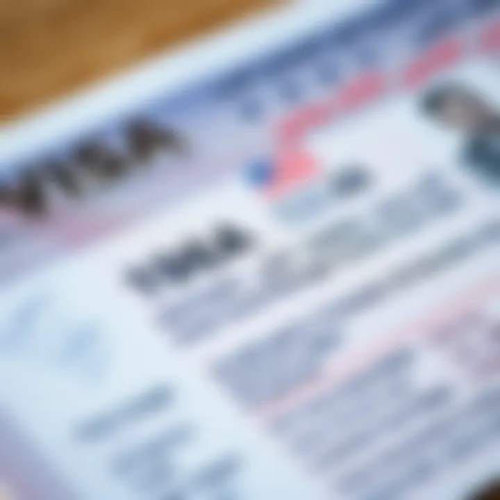 A close-up of a Dubai visa document highlighting important details